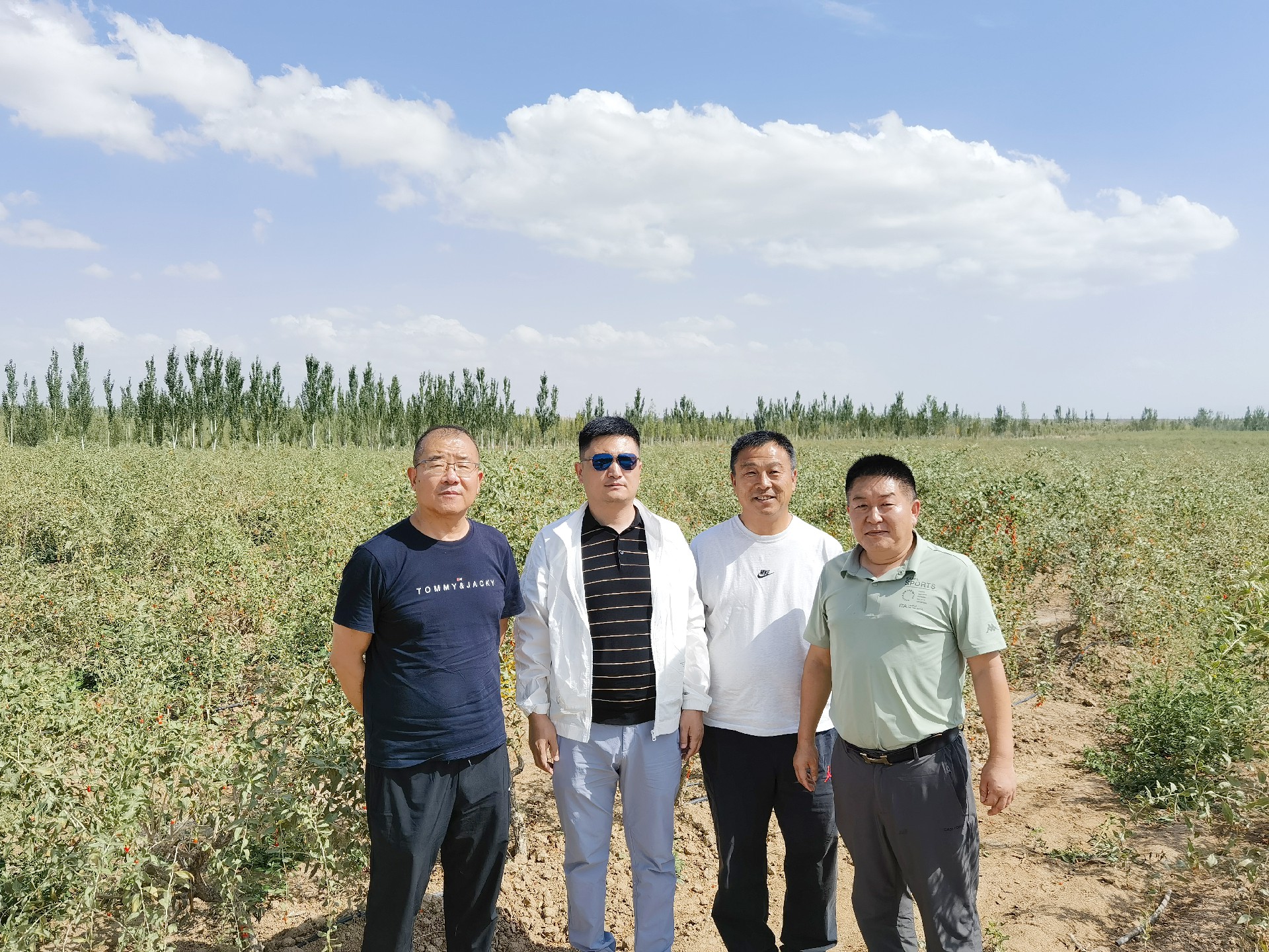 貴州賢酒與寧夏菊花臺枸杞生物科技達成大健康戰略聯盟